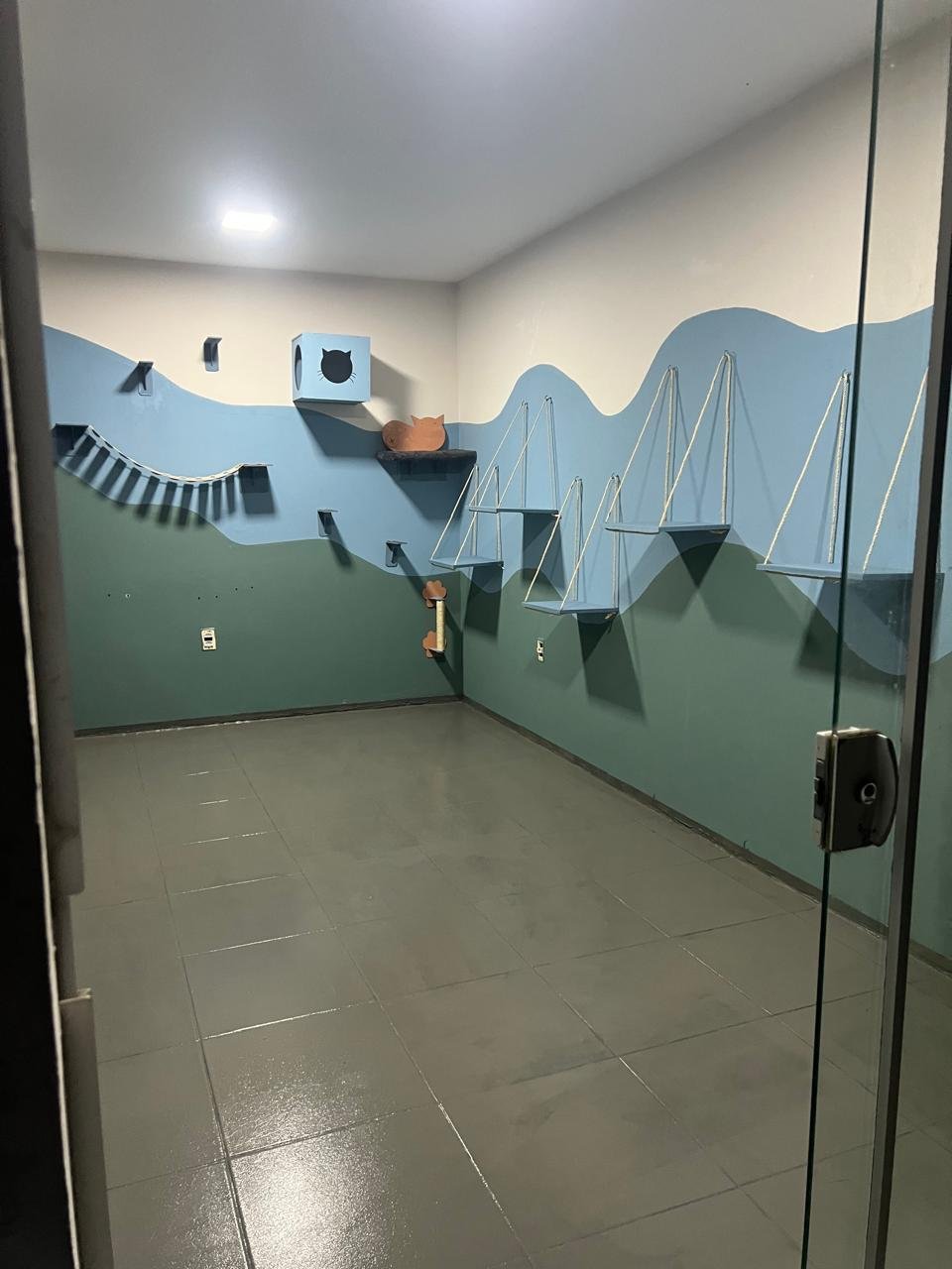  - foto 5